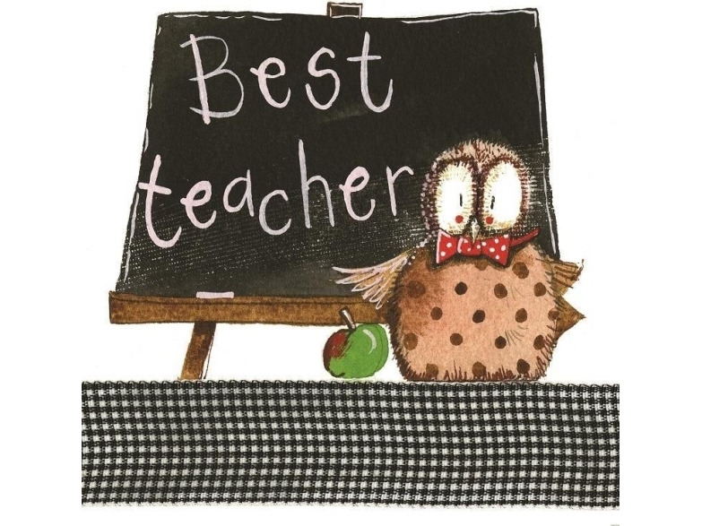 Ls79 Bester Edukamp-Lehrerausweis