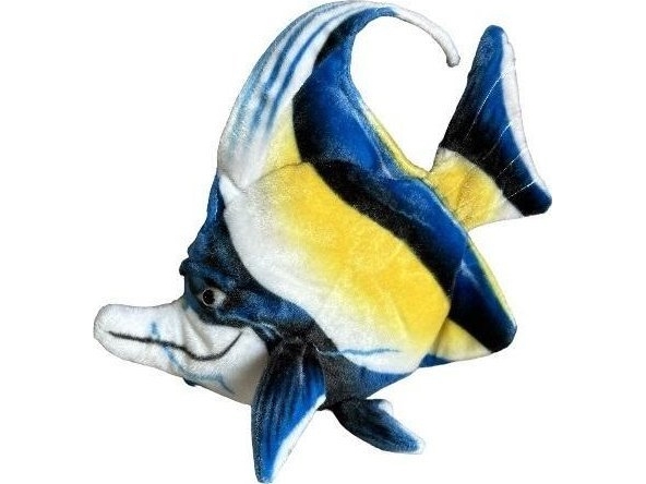 Skalar 35 Cm