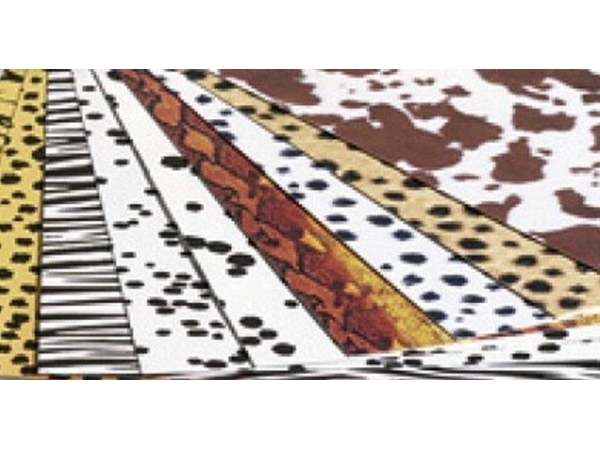 Djurmotiv kartong 25x35cm 8 ark | Skola & Hobby - Skolböcker & kalkylblad - Papper & kartong | GameStuff