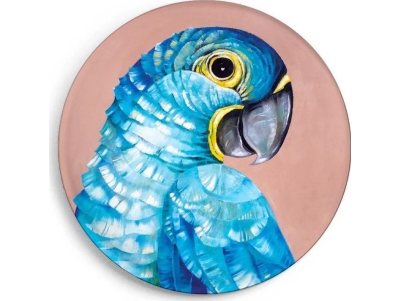 Hyazinth Modroara Magnet