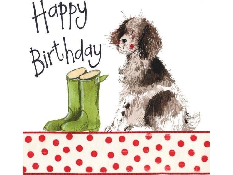 Birthday card S100 Dog and wellingtons