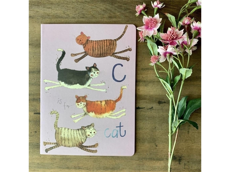 Notebook B5/40K Line Snl05 Cats