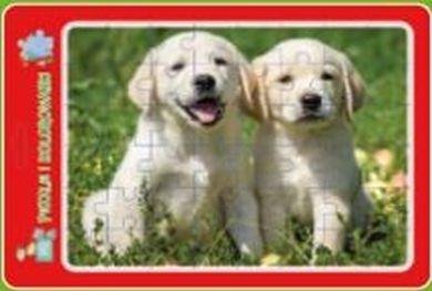 Teka Gerahmte Puzzles Mit Malbuch Welpen
