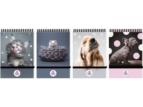 Pencil Notebook With Eraser A6 96 Sheets Grid Sweet Pets Beniamin 112613 Ben |