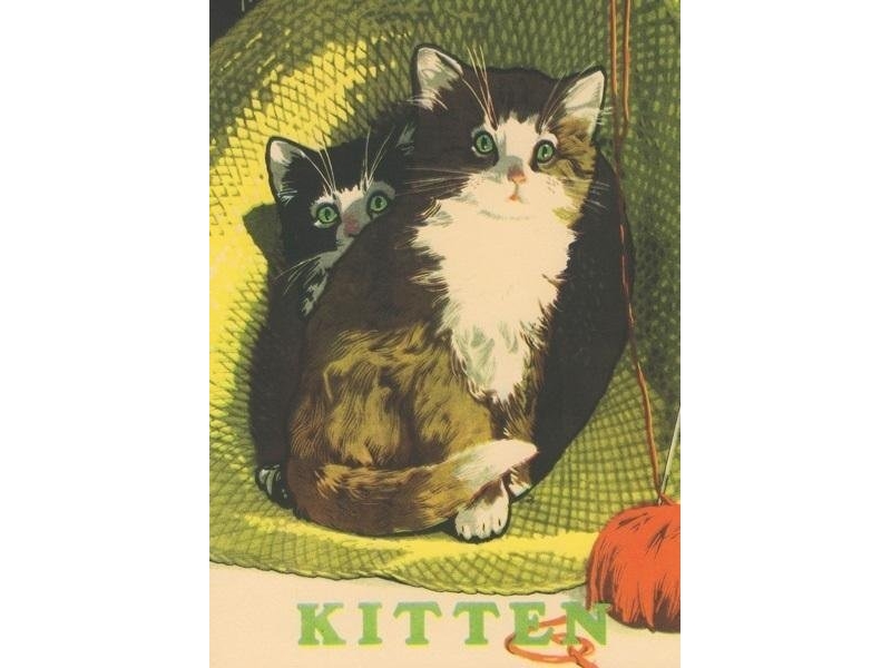 B6 notesbog med kuvert To katte