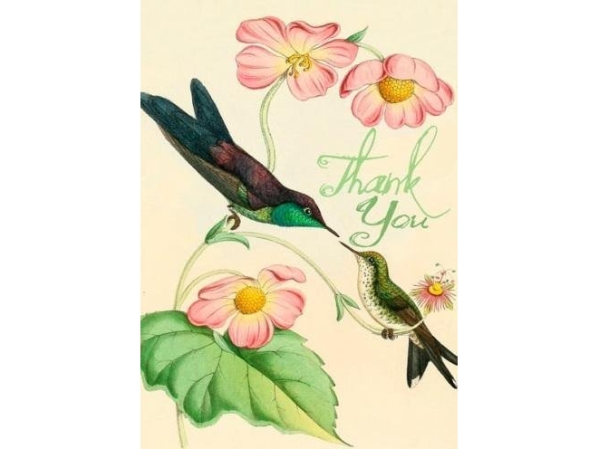 Carnet B6 Mit Umschlag Danke, Kolibris