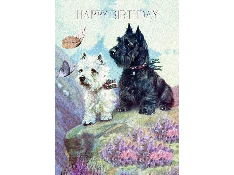 B6-carnet kirjekuoren kanssa Syntymäpäivä 2 skotlanninterrieriä