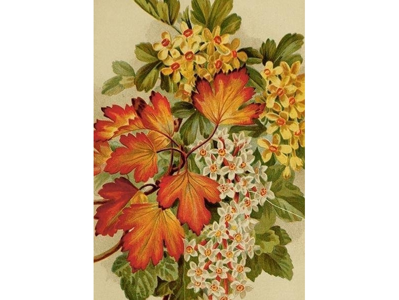 St492 B6 Carnet + Umschlag Herbstblätter