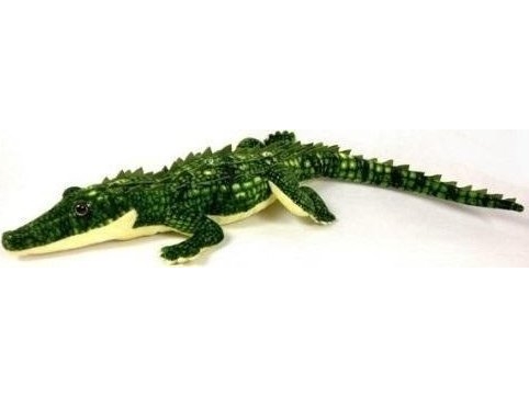 Crocodile 85Cm