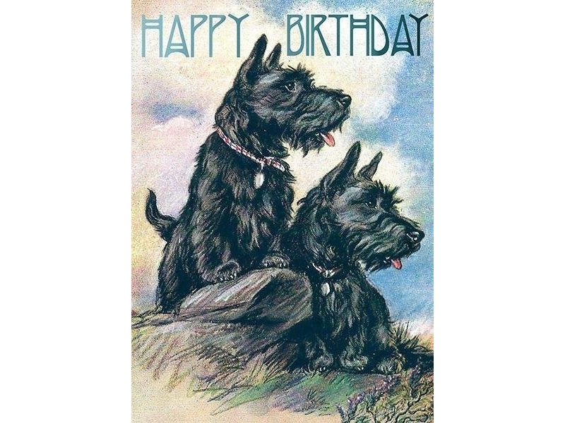 B6 Carnet With Envelope Birthday Scottish Terrier