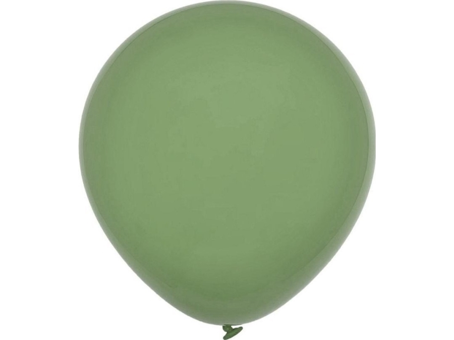 Decomex Pastel Eucalyptus Balloons 100St