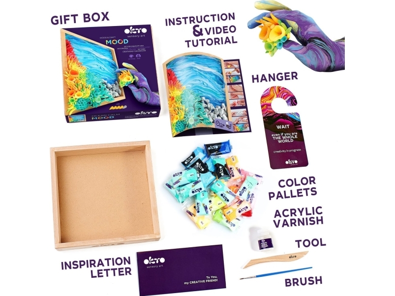 Succulents Creativity And Decoration Kit