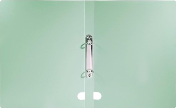 Skilleark A4 PP 3 cm 2R zielen morandi