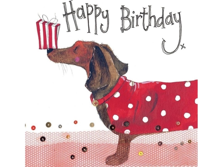 Karnet fødselsdag S264 Jamnik