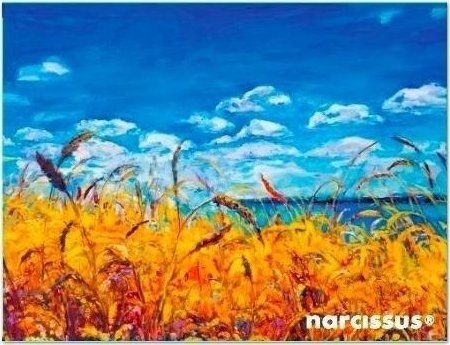 PP-konvolutmappe A6 Sky