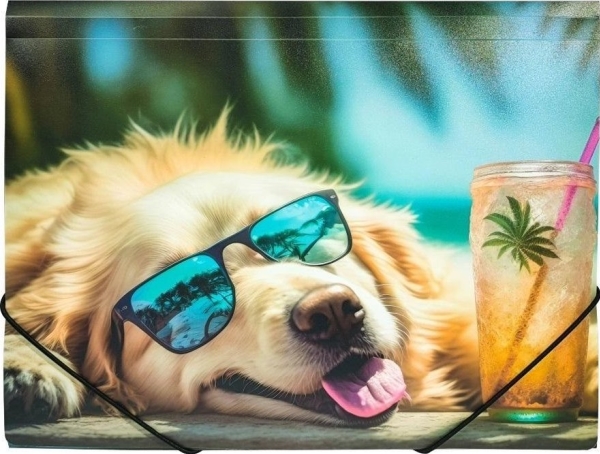 A4 Pp Ordner Bedruckt Chillout Dog