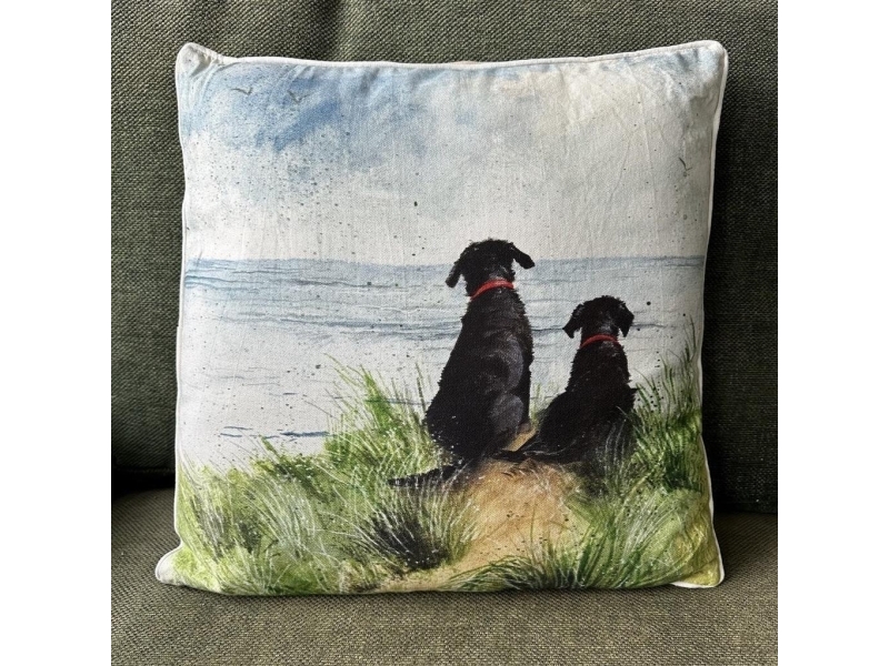 Cu57 Pillow Dogs In Den Dünen
