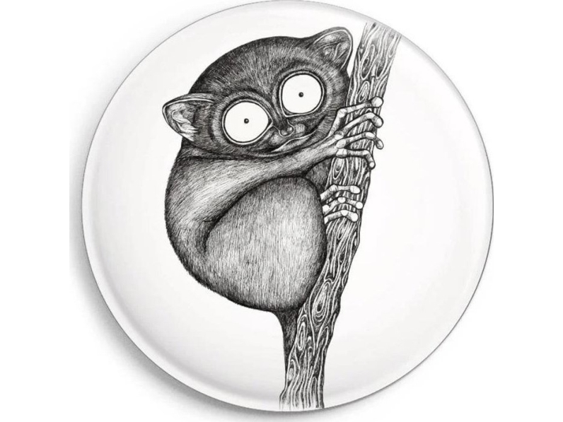 Magnet Wyrak