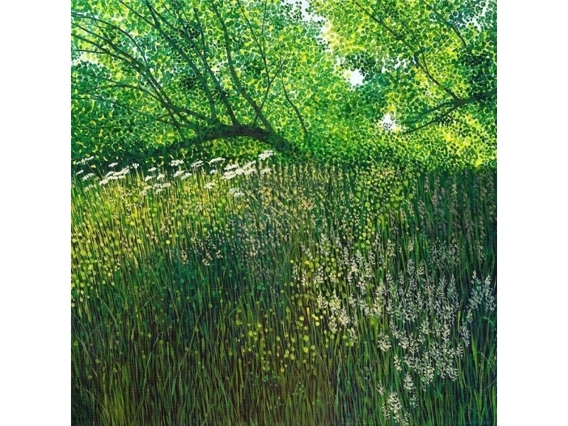 Card With Envelope Ac10137 Summer Meadow