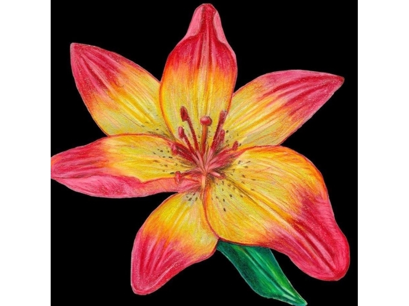 Karte Mit Umschlag Sb12 Lily