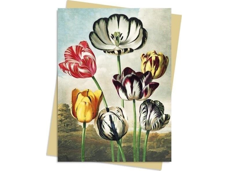 Vykort B6 Tulpaner Temple of Flora | Arkivering - Elastikmappar & Chartekker - Charters | GameStuff