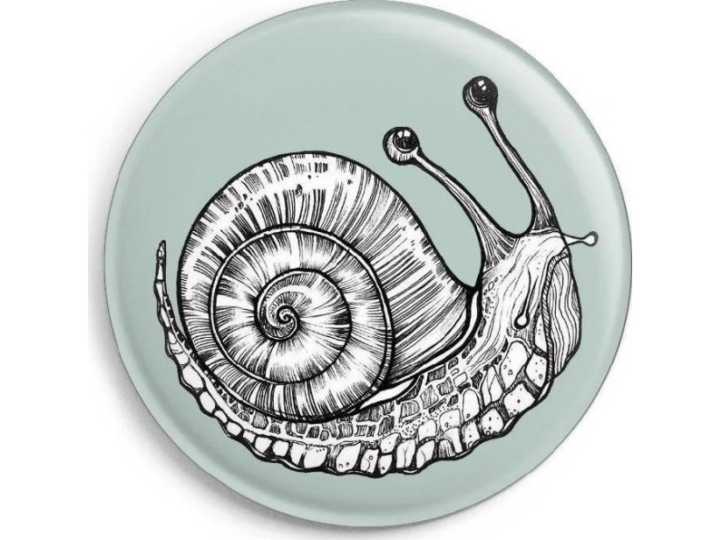 Magnet Schnecke