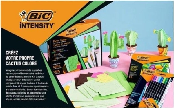 Zestaw Intensity Paper Cactus Bic