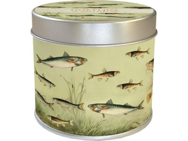 Tuoksukynttilä 232 Nordic fish