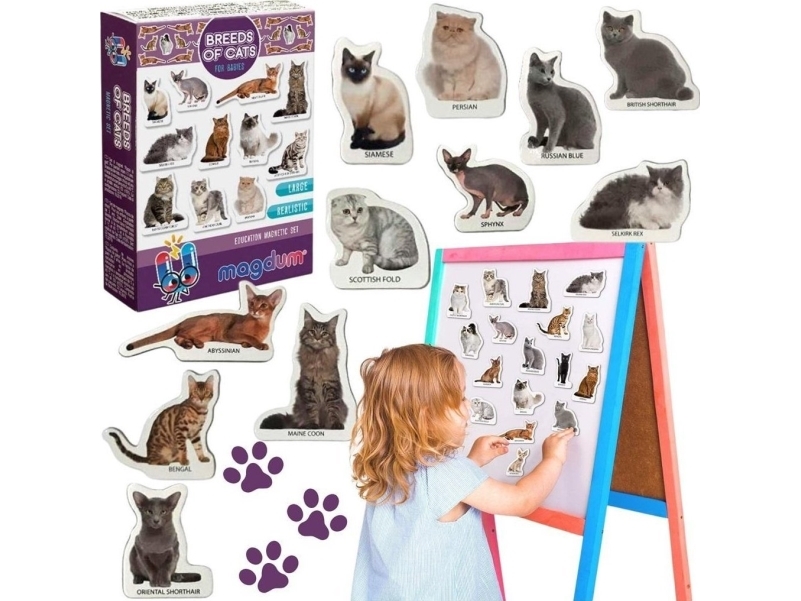 Magnete Für Katzenrassen