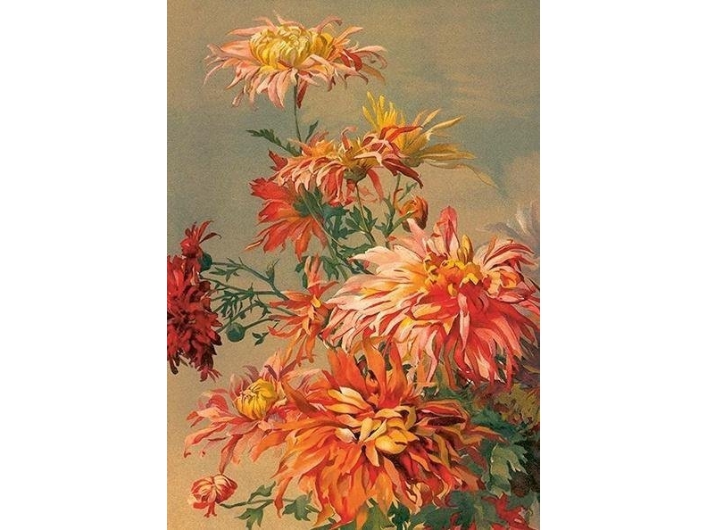 Carnet ST493 B6 + kuvert orange dahlia | Papper & Emballage - Kuvert & påsar - Övriga | GameStuff