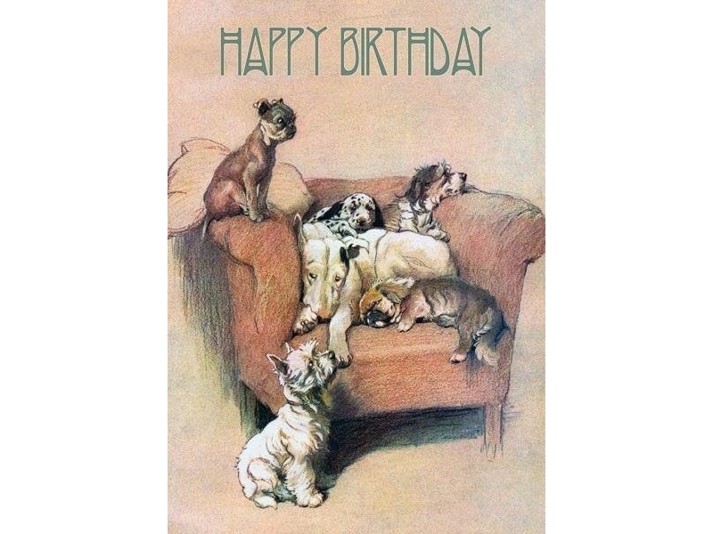 B6-carnet kirjekuoren kanssa Syntymäpäiväjuhla Koirat tuolilla