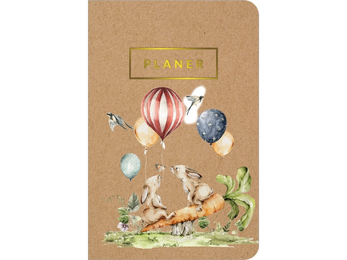 Planner Balloons