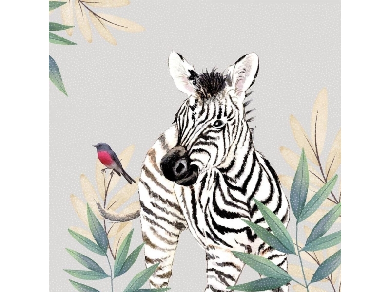 Karnet Swarovski Vierkant Cl4711 Zebra