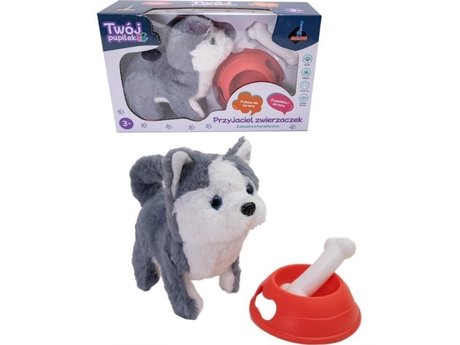 Battery Operated Dog With Accessories