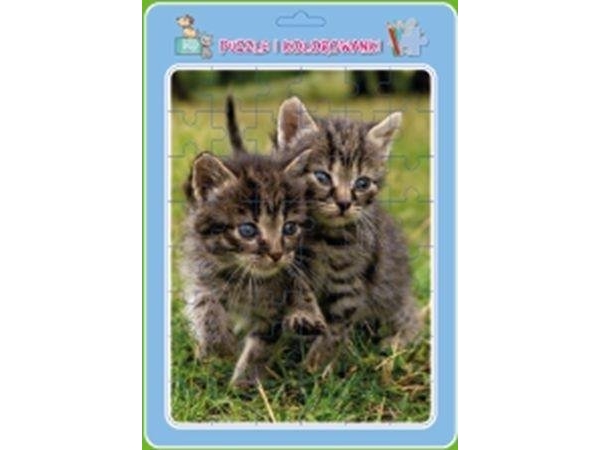 Gerahmtes Puzzle Mit Malbuch - Katzen