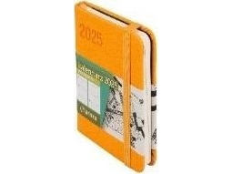 Kalender 2025 Avant Garde Tdw Orange