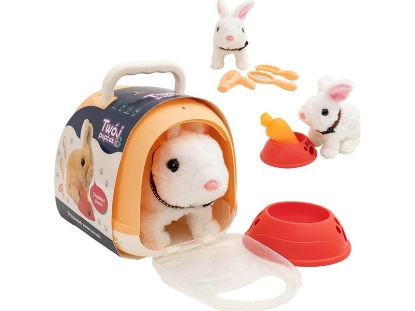 Dit Kæledyr Rabbit Med Et Hus