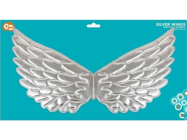 Silberne Flügel 45.3X21cm