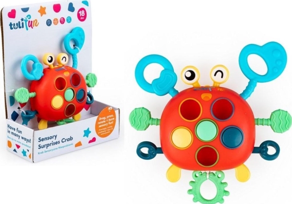 Crab Sensory Surprises