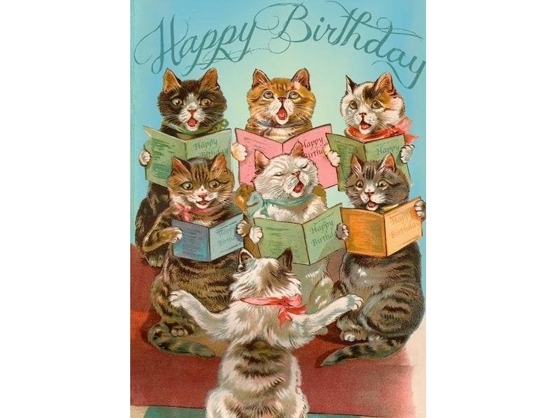 B6 carnet med kuvert Fødselsdagskor med 7 katte