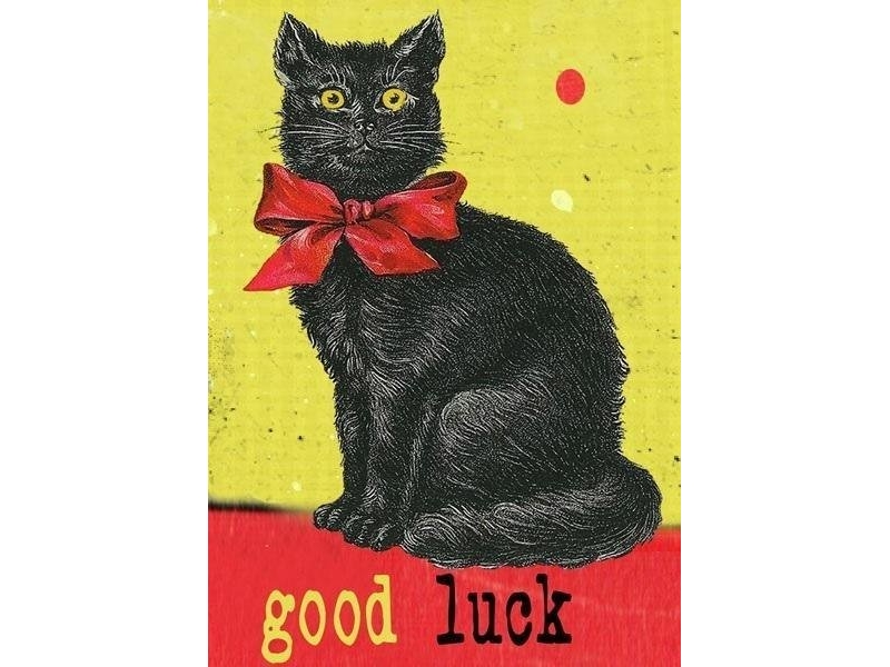 B6 notesbog med kuvert sort kat Good Luck