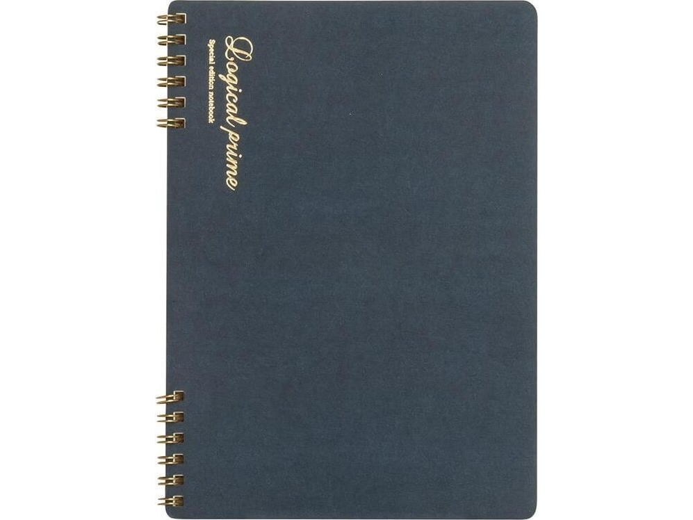 Notesbog B5 Prikker Og Linjer Logical Prime B Blå