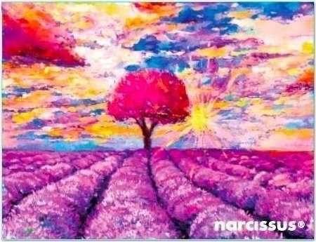 PP konvolutmappe A7 lavendel