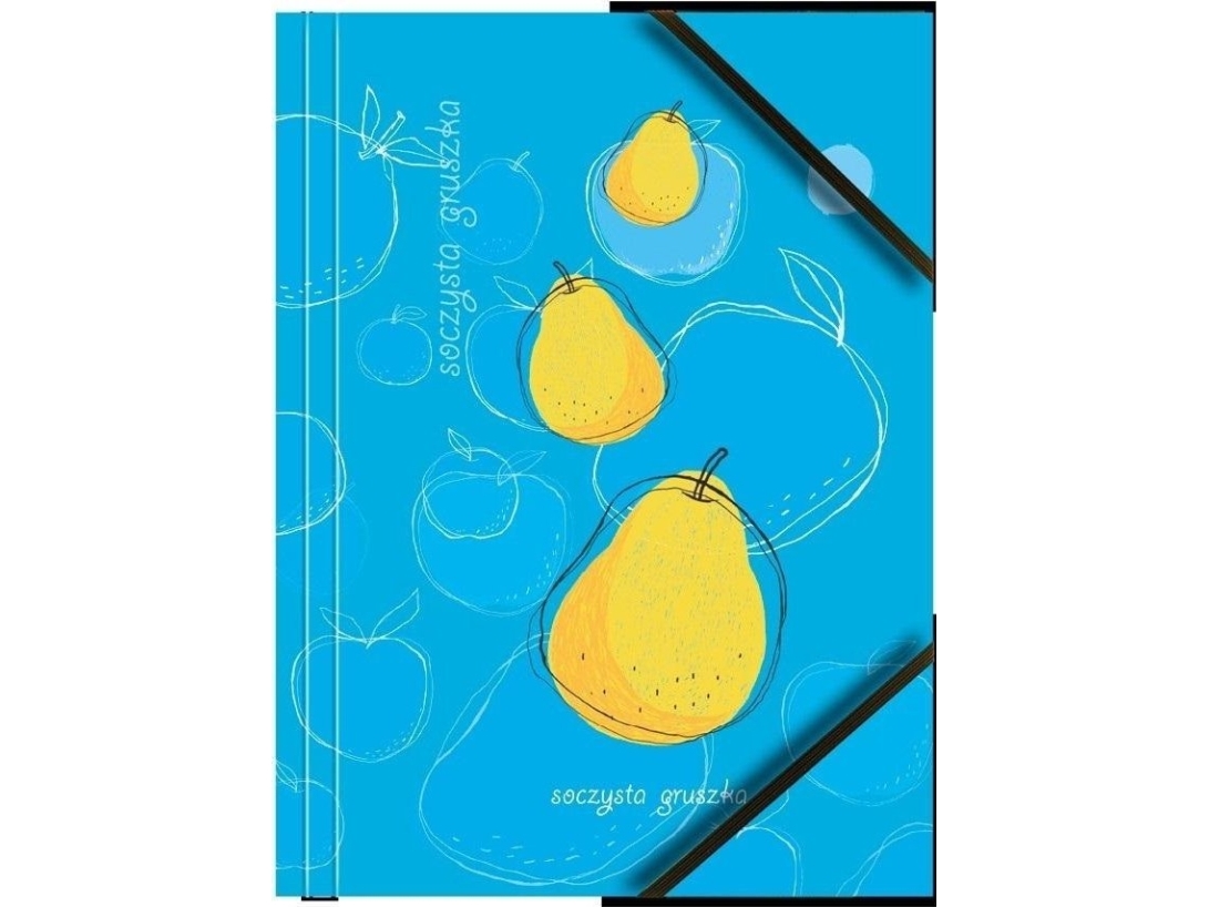 A4 Cardboard Folder With Corner Rubber Band Pear (6Pcs)