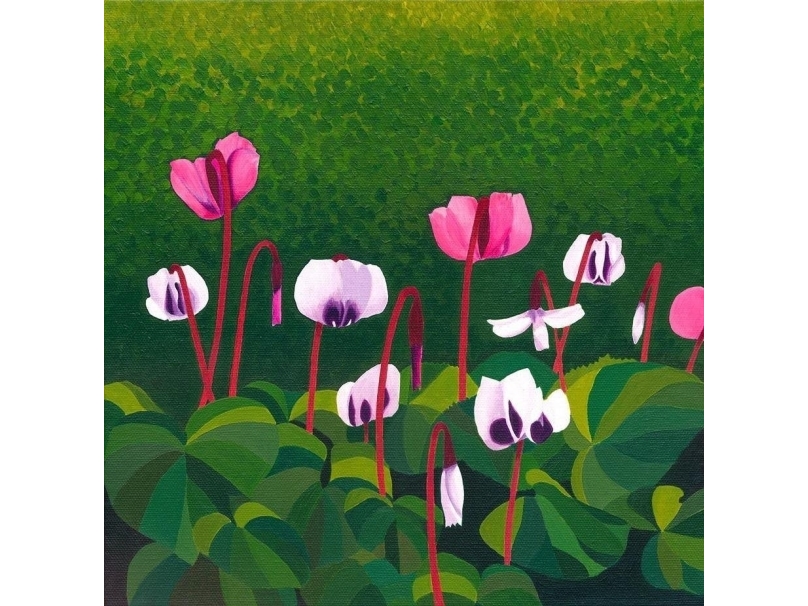 Carnet Z Kopertą Ac10132 Cyclamen