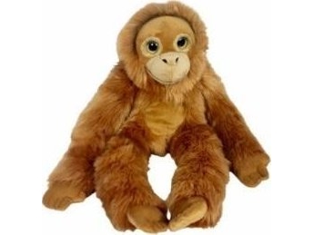 Orangutan Big Eyes 50Cm
