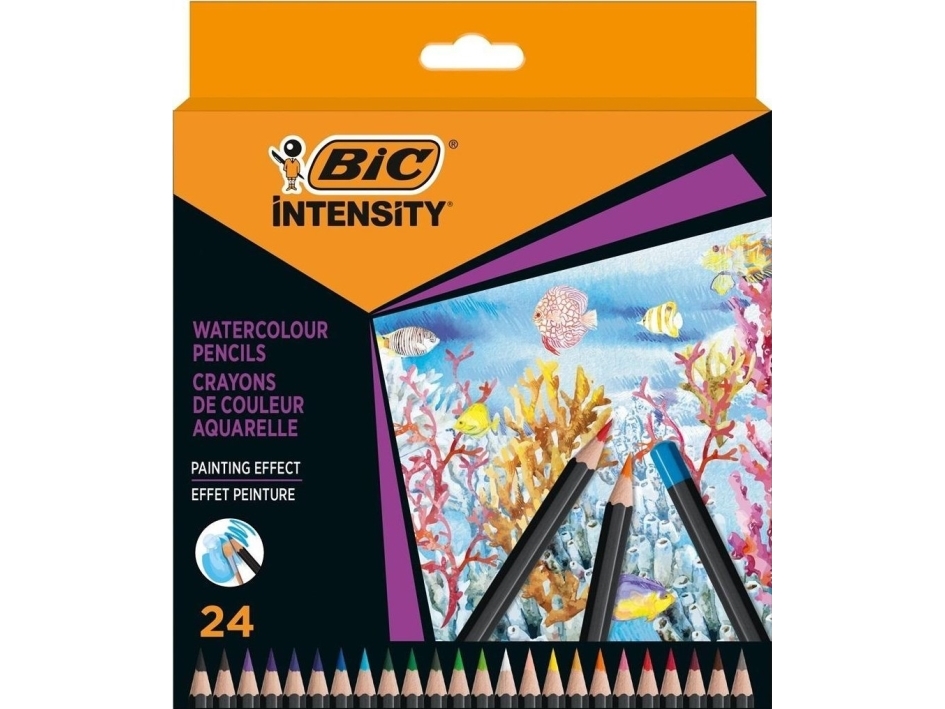 Intensity Premium Pencil Crayons 24Pcs Bic