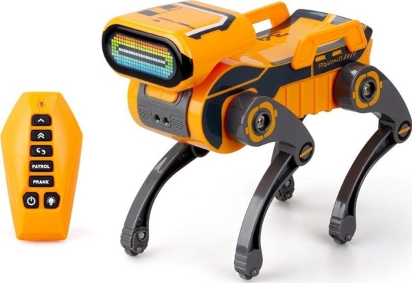 Robo Express oranssi