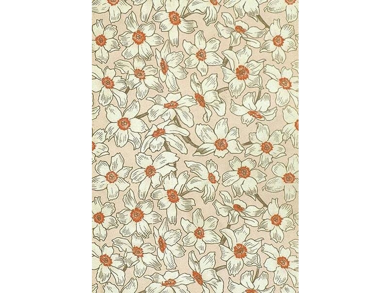 Carnet St480 B6 + Umschlag Narcissus