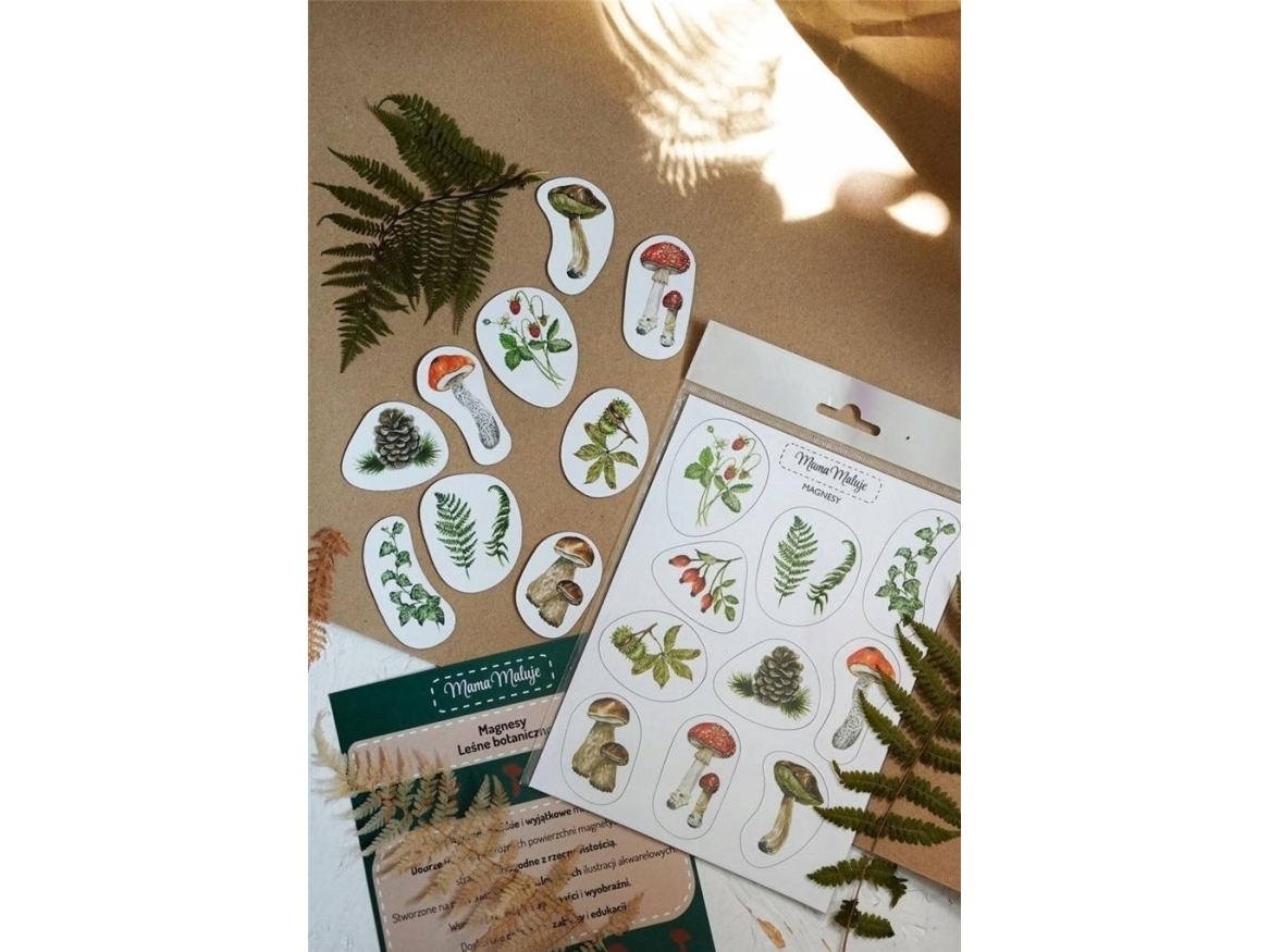 Wald Botanische Magnete